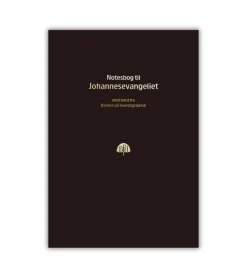 Bibelnotesbog, Johannesevangeliet