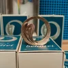 BronzeEngel, Beskyttet og bevaret, Mini