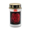 LED Gravlys med rose, incl batteri, 100-150 dage