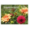 Sensommerfarver – Livsstykker for grånende