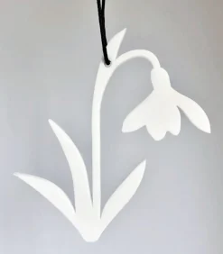 Vibeager, Vintergæk Ophæng