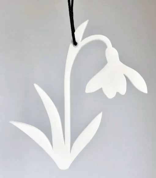 Vibeager, Vintergæk Ophæng